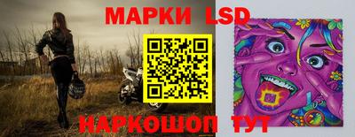 дмт Аргун