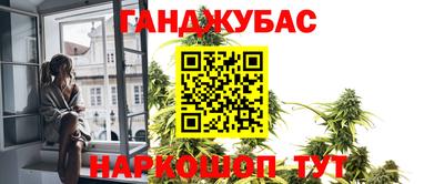 дмт Аргун
