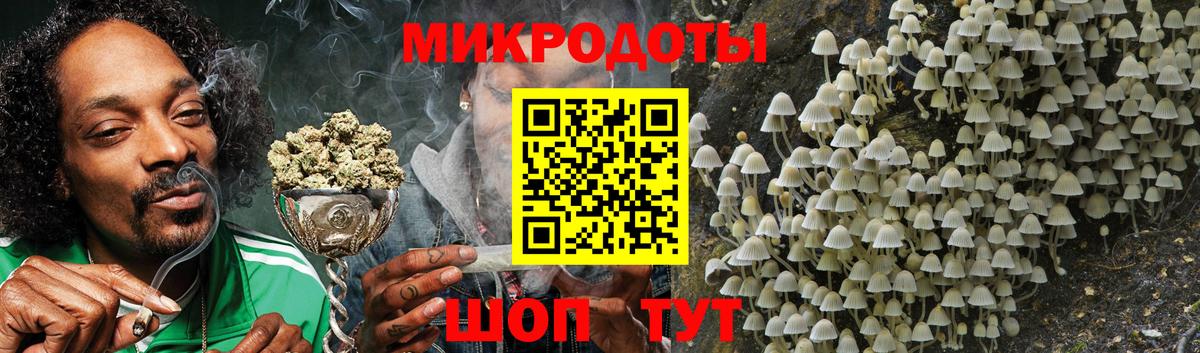 Апрелевка  Галлюциногенные грибы Psilocybe  Вход с VPN 