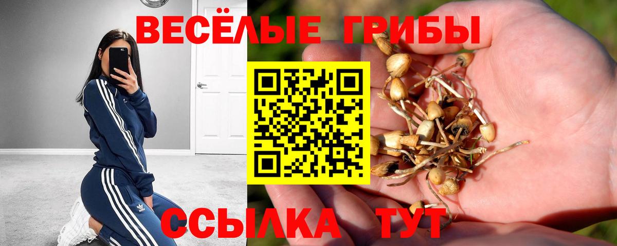 Галлюциногенные грибы Magic Shrooms Апрелевка